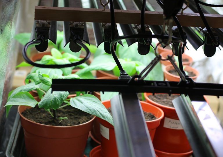 Suspended Grow Lights For Plants